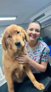 Professional pet grooming team from Outlet Mobile Pet Grooming preparing grooming tools