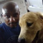 Professional pet grooming team members caring for dogs at mobile grooming van